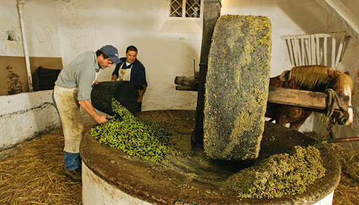 Organik Yağ Masajı